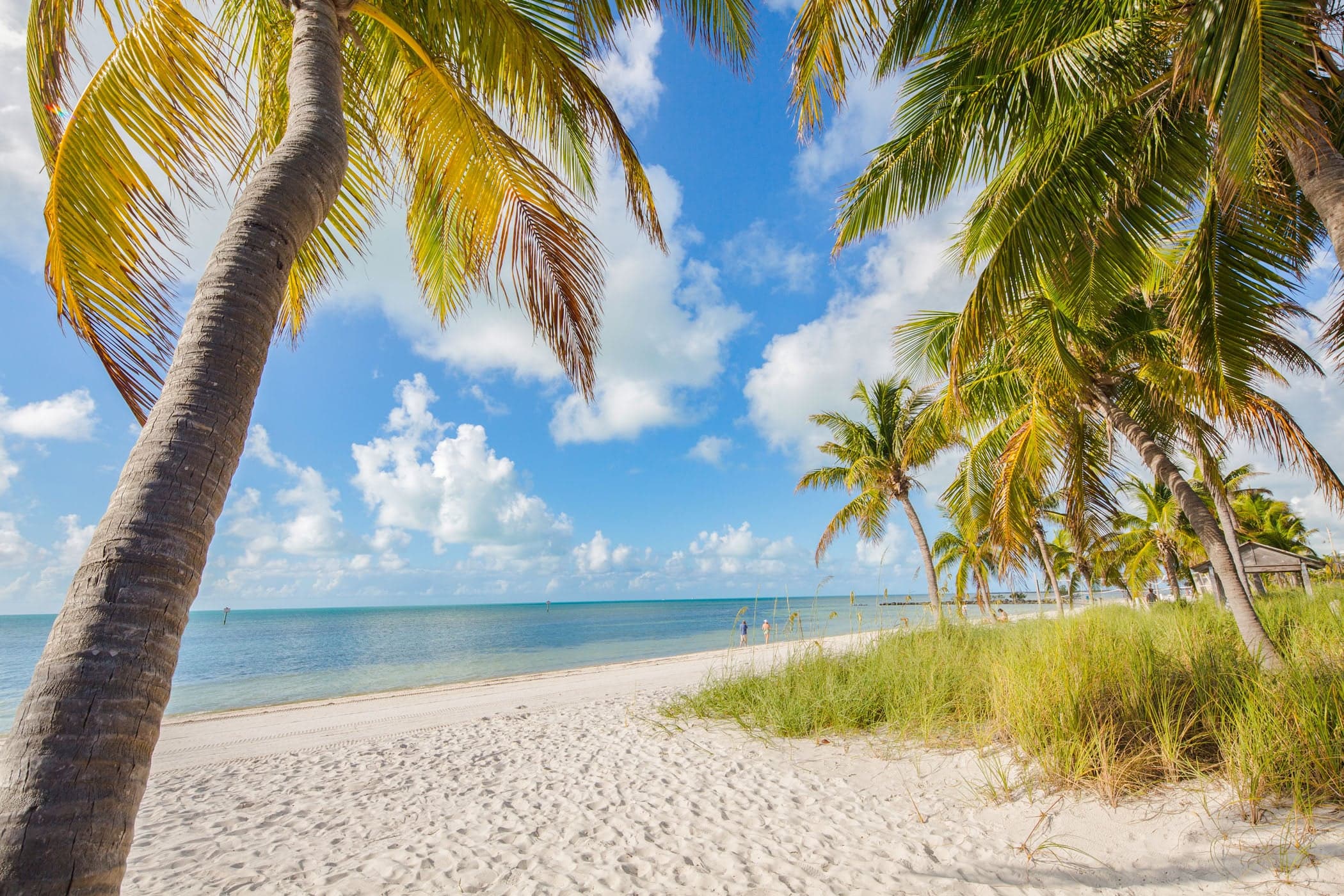 The beach and palm trees at Smathers Beach