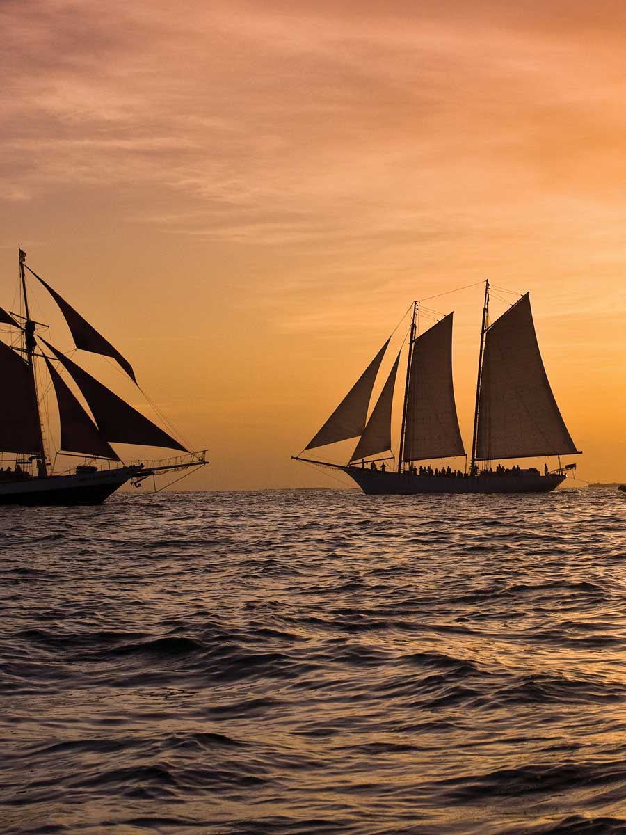 Sailboats In The Sunset.