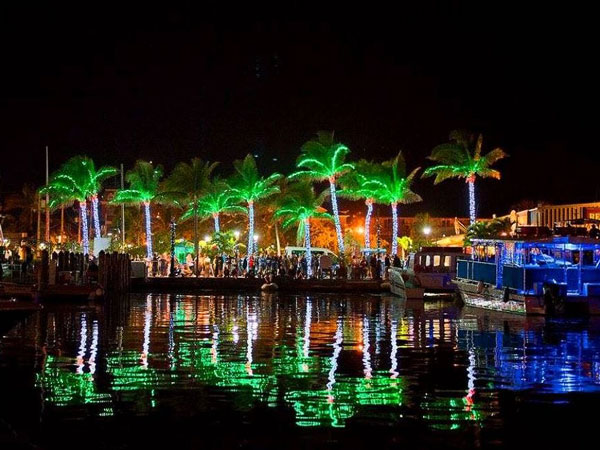 Christmas Light In Key West
